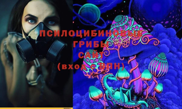 сатива Абинск