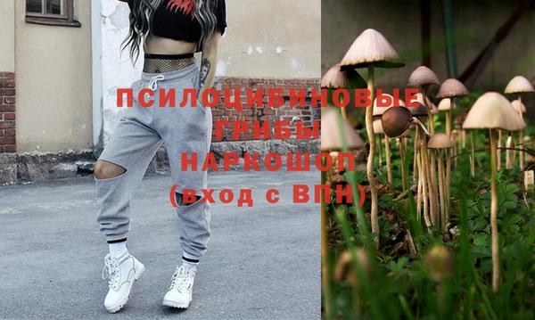 сатива Абинск