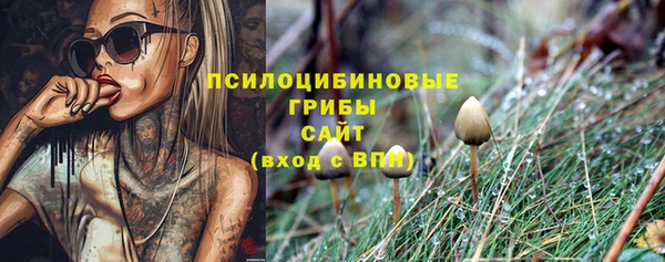прущий лед Алексеевка